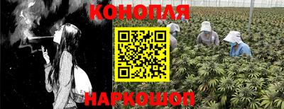 молекула духа Кулебаки