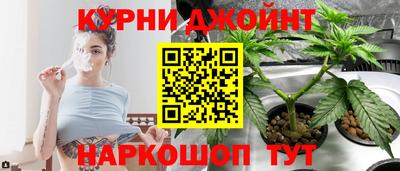 молекула духа Кулебаки