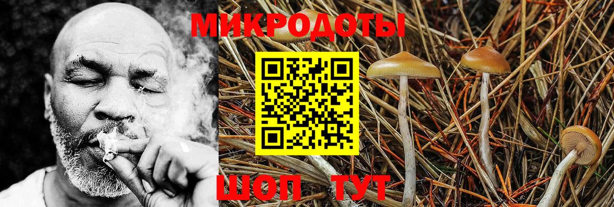 Ухта  Галлюциногенные грибы Psilocybe  Вход с VPN 