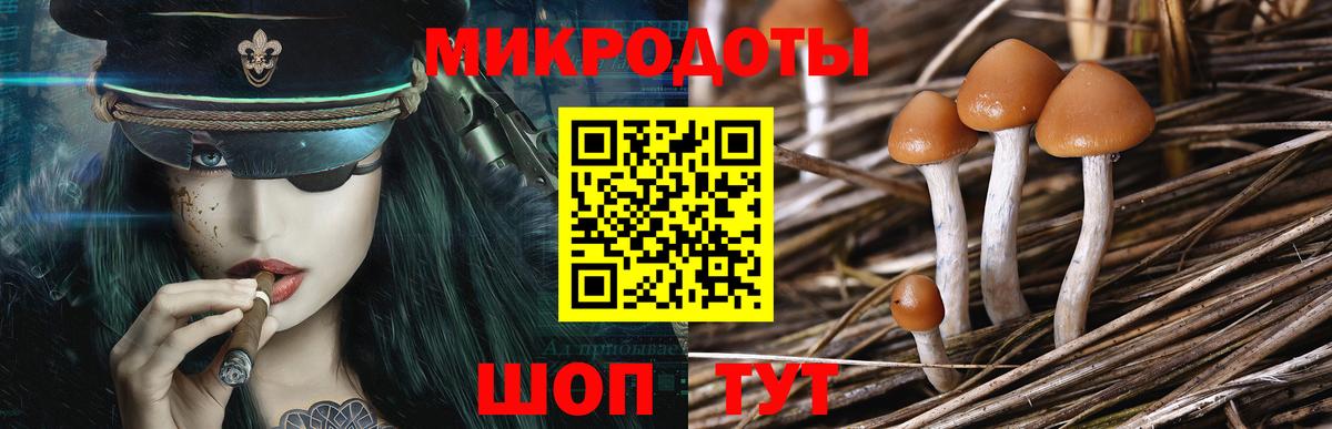 Галлюциногенные грибы Psilocybine cubensis Ухта